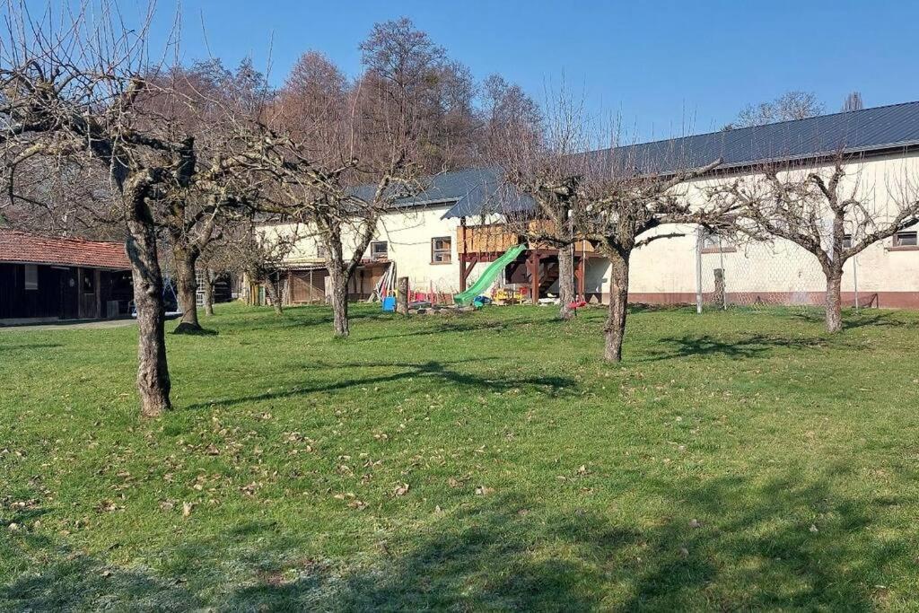 Grosse Tolle 4 Zimmer Ferienwohnung Im Herzen Des Odenwaldes Mörlenbach Exterior foto