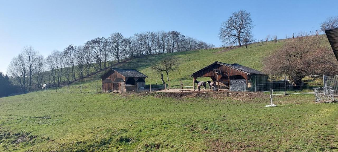 Grosse Tolle 4 Zimmer Ferienwohnung Im Herzen Des Odenwaldes Mörlenbach Exterior foto